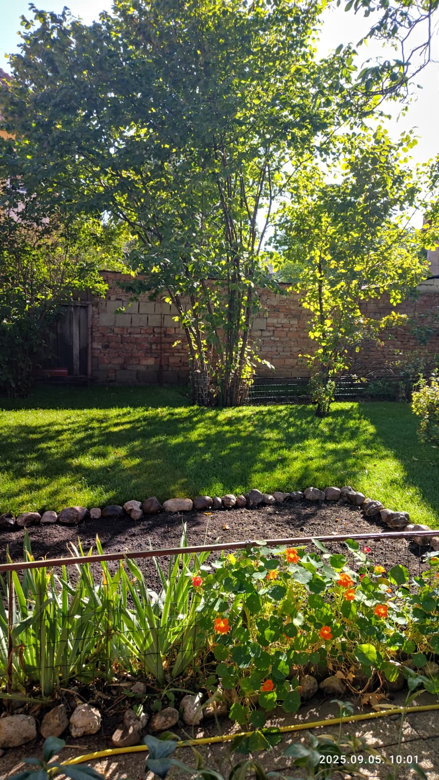 Montaj Ralou Gazon - After