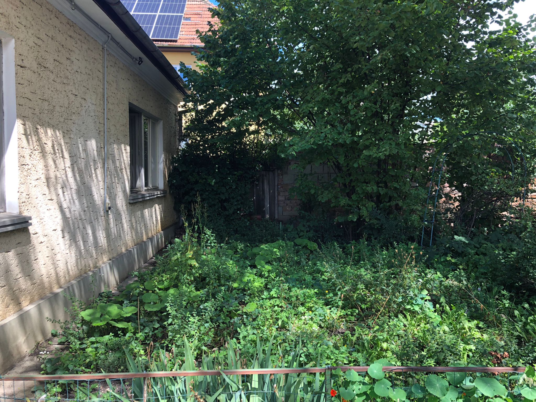 Montaj Ralou Gazon - Before